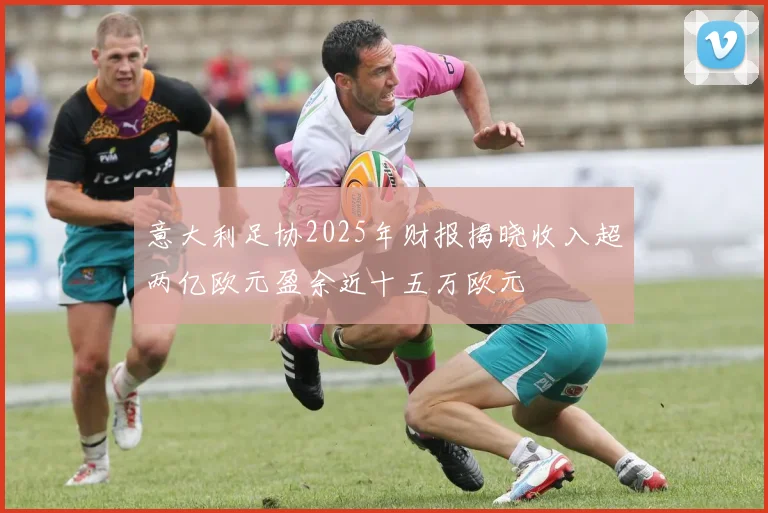 意大利足协2025年财报揭晓收入超两亿欧元盈余近十五万欧元
