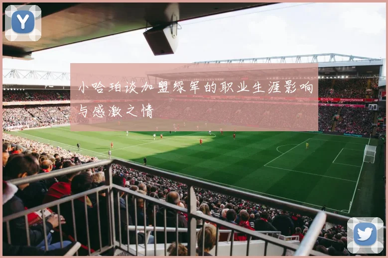 小哈珀谈加盟绿军的职业生涯影响与感激之情